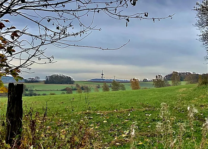 Bachmanns 2 * Шоттен